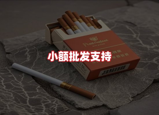 专业团队